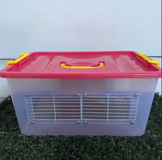 Kenapa Kandang Boks Kontainer Lebih Baik Dari Kandang Jeruji?