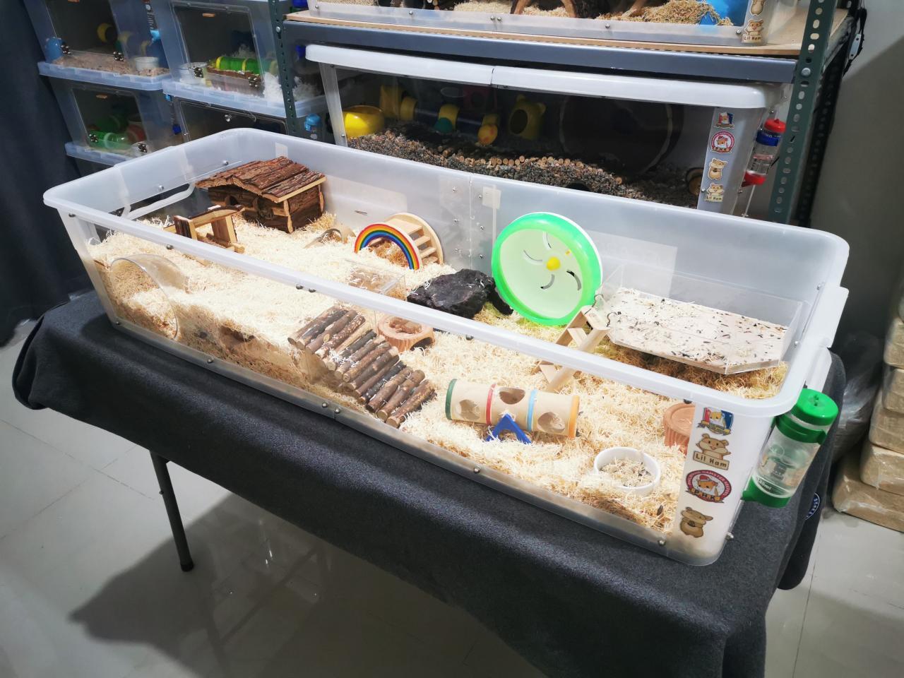 Memahami Konsep “Bin Cage” Hamster Pengertian Dan Keunggulannya