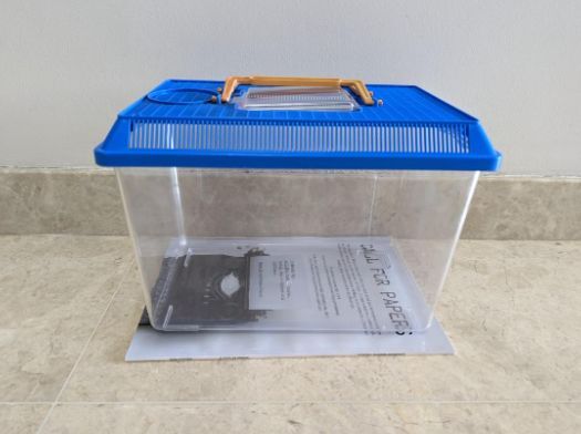 Panduan Lengkap Ukuran Boks Kontainer Ideal Untuk Hamster Syrian (Anti Stres)