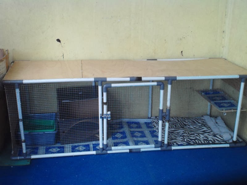 Hemat Budget Cara Mendapatkan Bahan Kandang Diy Murah Tapi Aman