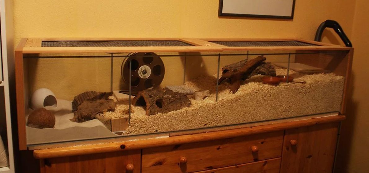 Tutorial Kandang Boks Kontainer Tanpa Kawat Ram (Metode Lubang Bor)