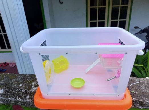 Review 3 Tipe Boks Kontainer Terbaik Untuk Kandang Hamster