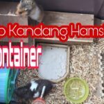 Cara membuat kandang hamster box kontainer | set up kandang hamster ...