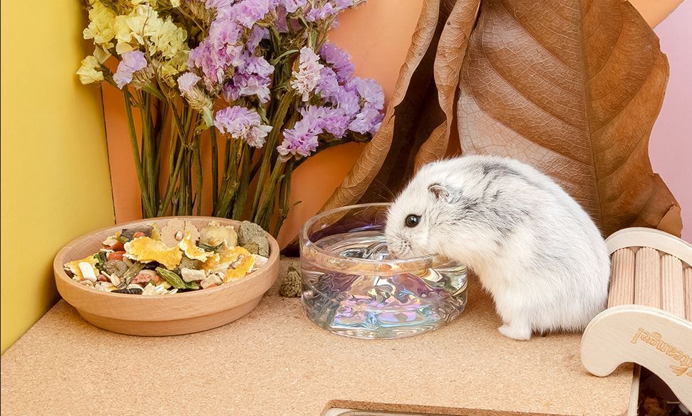 Cara Memasang Dudukan Botol Minum Di Dinding Boks Kontainer