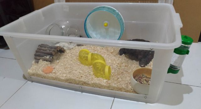 Tutorial Membuat Pintu Samping Pada Kandang Boks Kontainer (Mudah Dibuka)