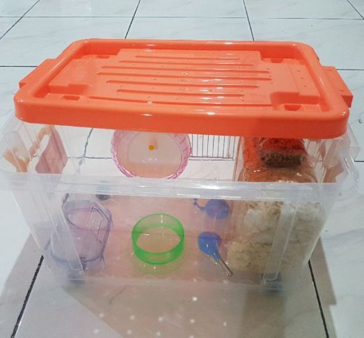 Panduan Keamanan Apakah Boks Kontainer Plastik Aman Untuk Hamster?