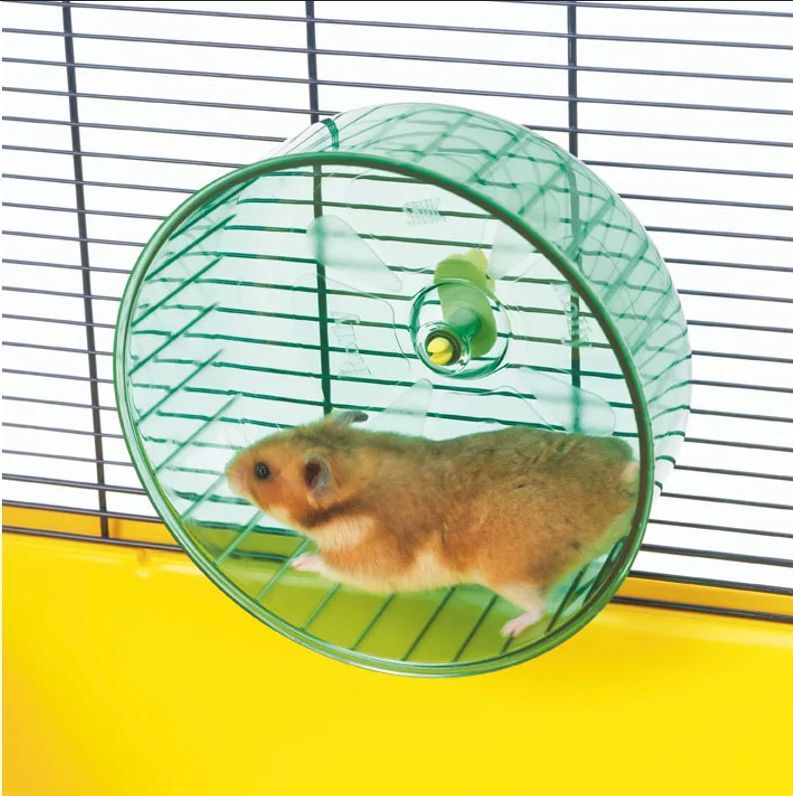Diy Mainan Hamster Sederhana Untuk Mengisi Kandang Boks (Hemat Biaya)